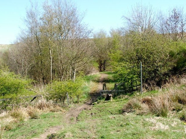 Entering Balmuildy Wood by Lairich Rig is licensed under CC-BY-SA 2.0
