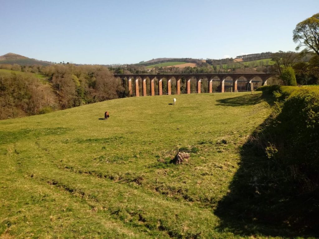 Trimontium Amphitheatre, Newstead