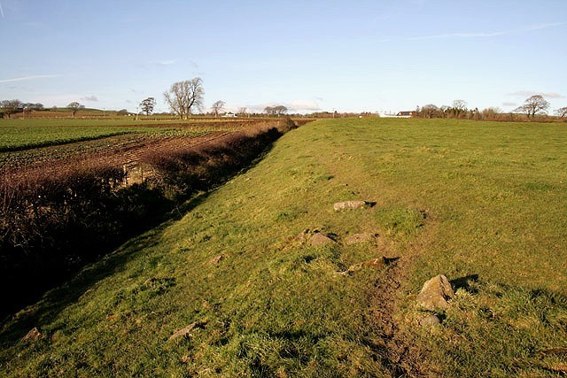 Earthworks at the western edge of Birrens Roman fort