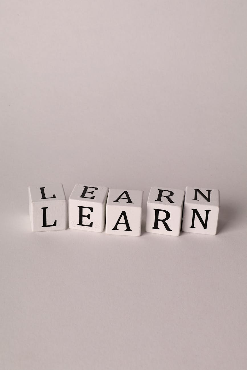 School Resources on Romans from Companies
