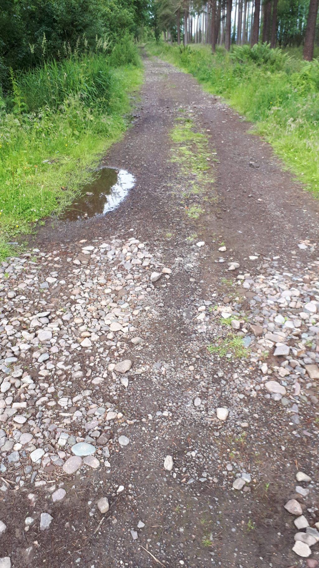Roman Roads of Scotland